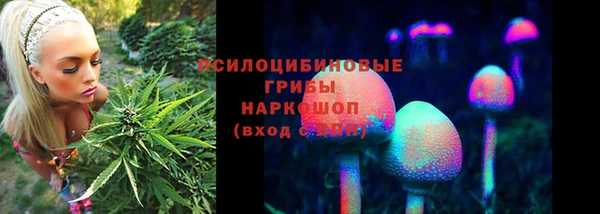 a pvp Баксан