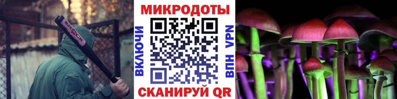 Псилоцибиновые грибы прущие грибы  Ногинск 